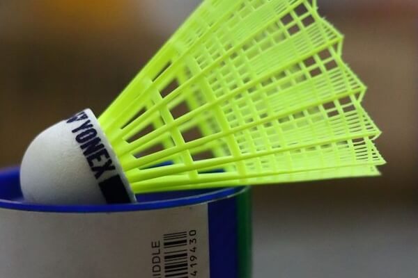 Badminton shuttlecocks