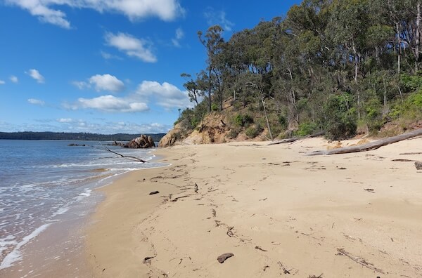 Discover Victoria's Stunning Upcoming Coastal Trail