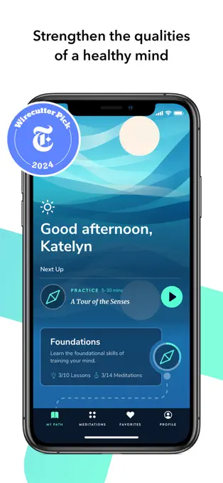 Healthy Minds App Store preview showing its meditation programme home screen