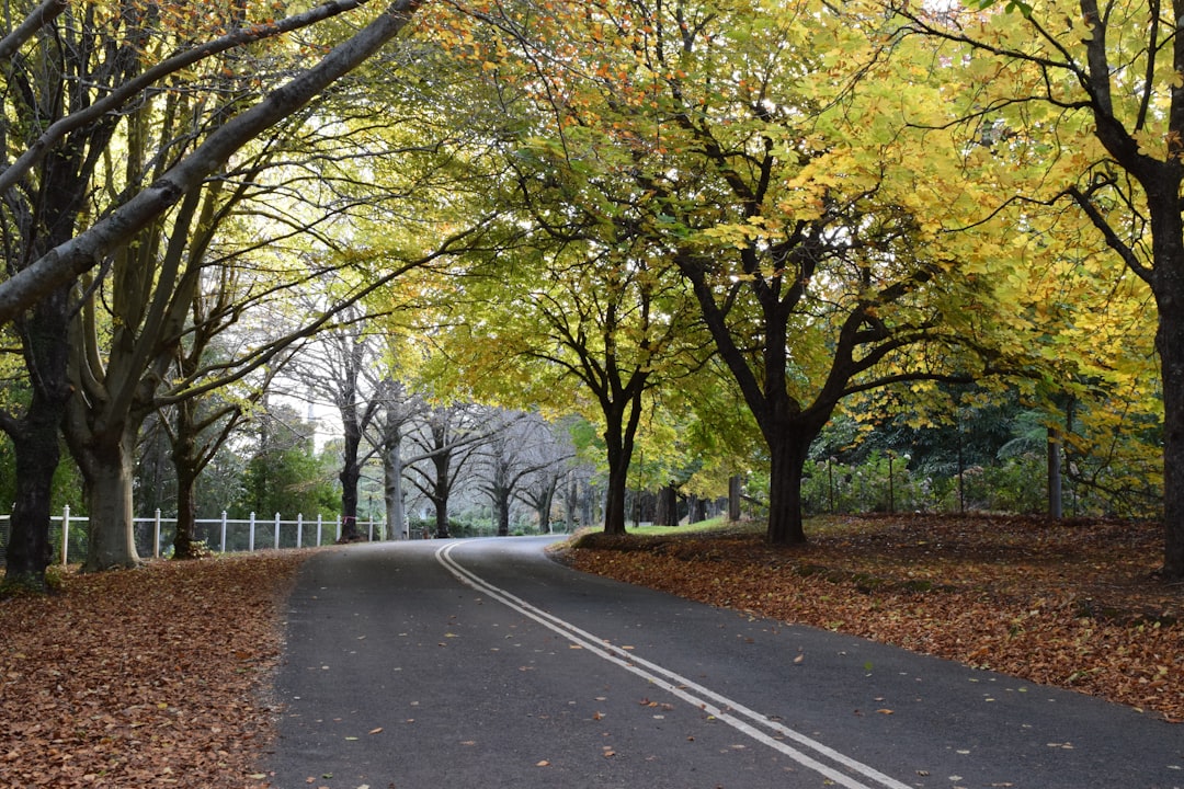 A walker along the Intercity Cycleway near Cornelian Bay in Hobart