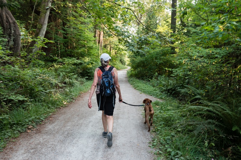 Two women walking on a road with a brown dog during the day