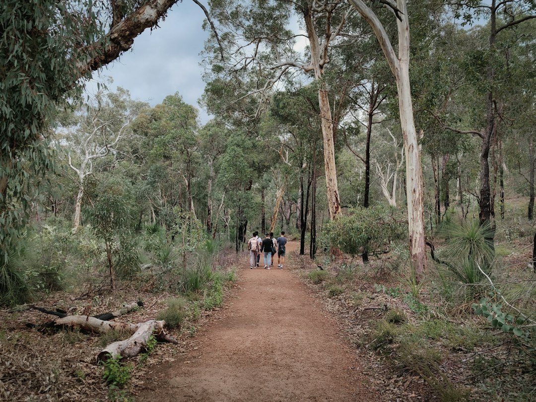 A small group walking together on a bushland path