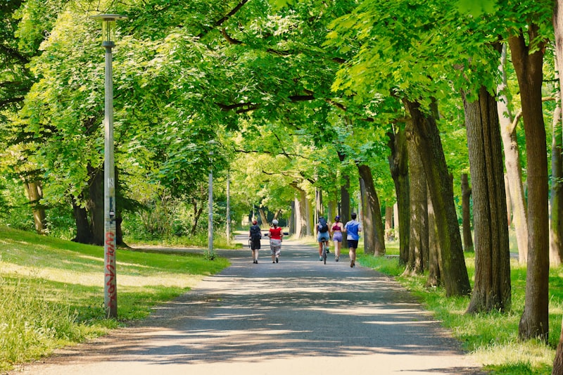 Walkers and runners sharing a tree-lined park path