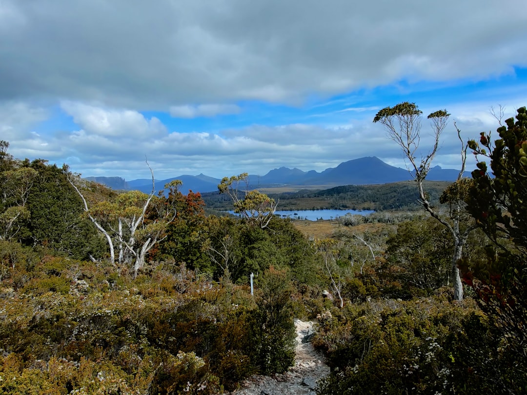 Best Free Outdoor Exercise Spots in Hobart