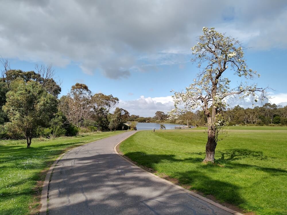 Open lawns and paths at Jells Park in Wheelers Hill along the Dandenong Creek Trail