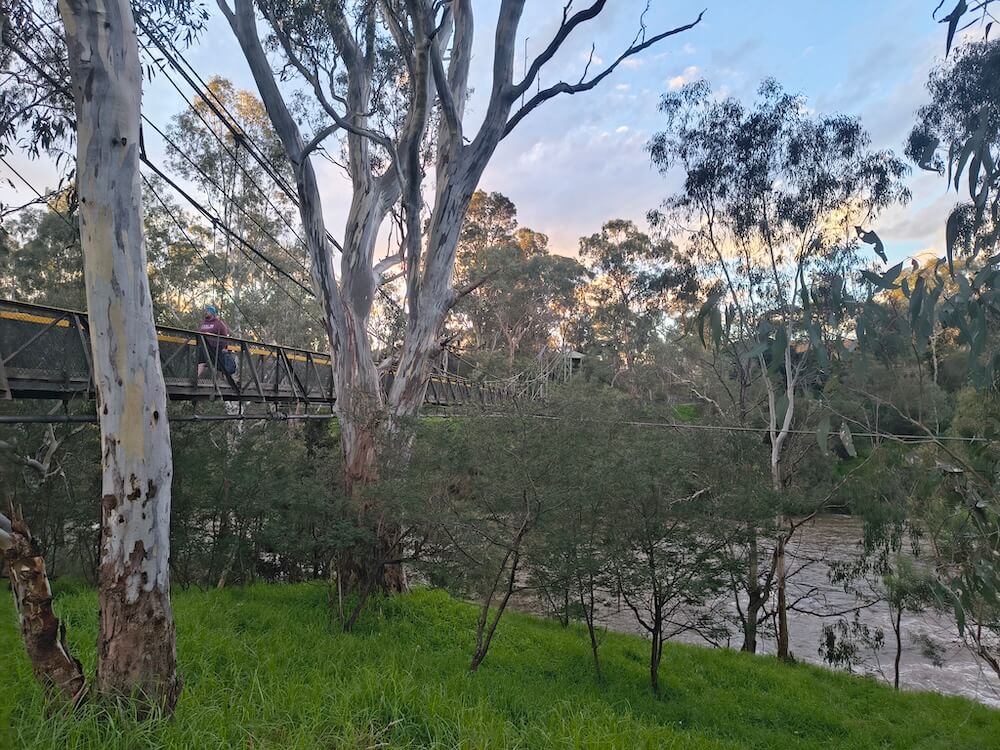 A walker crossing the narrow suspension bridge over the Yarra River near Finns Reserve
