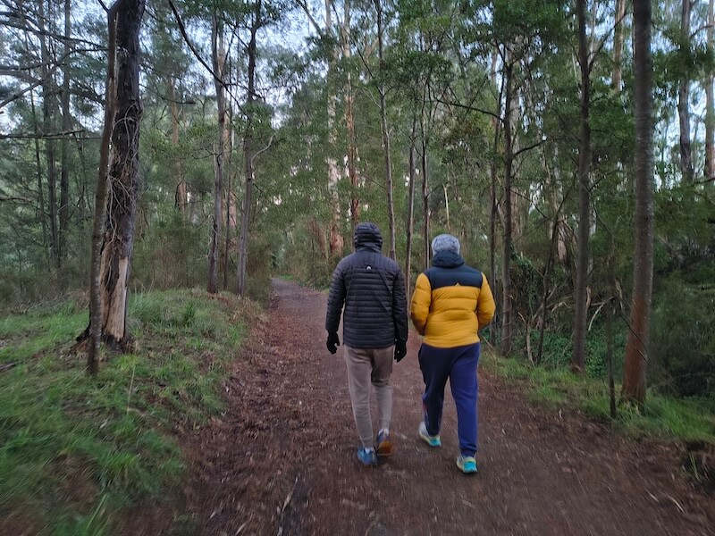 Two walkers following a broad forest track beside Olinda Creek near Mount Evelyn