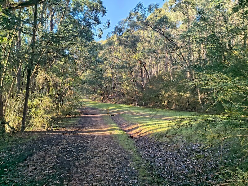 Olinda Creek Walking Track: Silvan to Mount Evelyn Guide