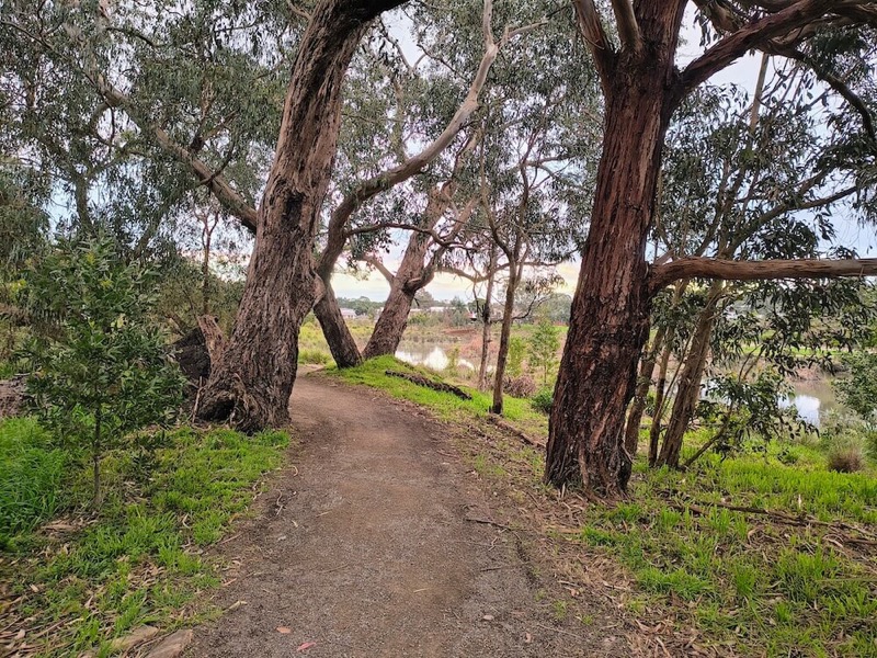Narrow unsealed Tarralla Creek side path beneath mature eucalypts