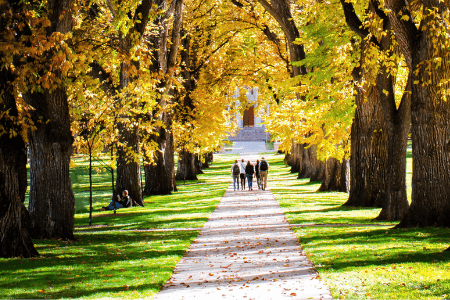 Coburg Walkers and Strollers Walking Group image