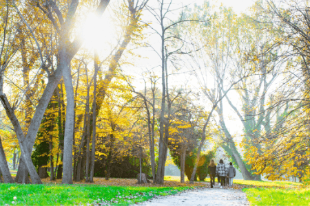 Rich Life Health & Fitness Walkers Walking Group image