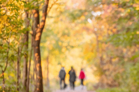 Stockland Merrylands Walking Group image