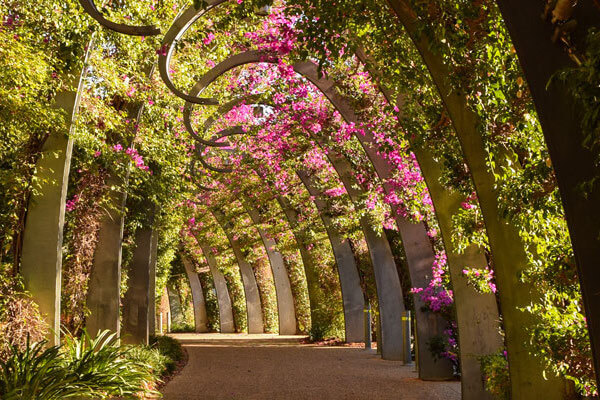 World Science Festival & Curiocity Brisbane