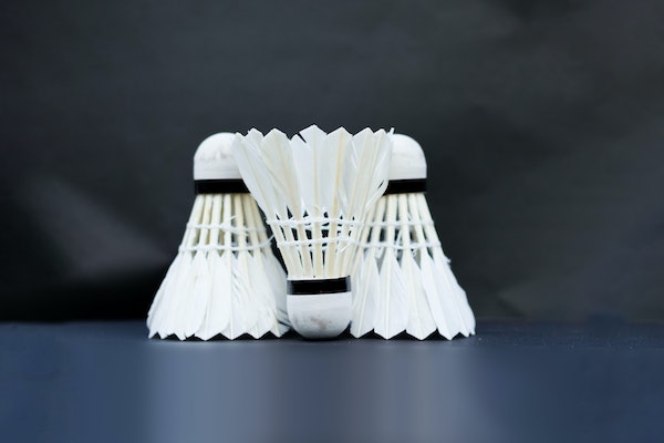 Monday Badminton Social image