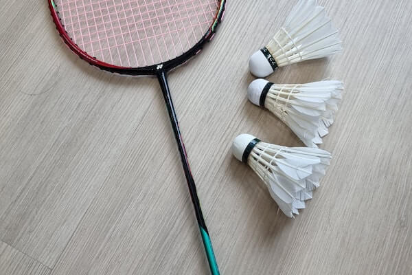 Mitcham Tuesdays Small Badminton Group - Low Beginner to Mid Intermediate players image