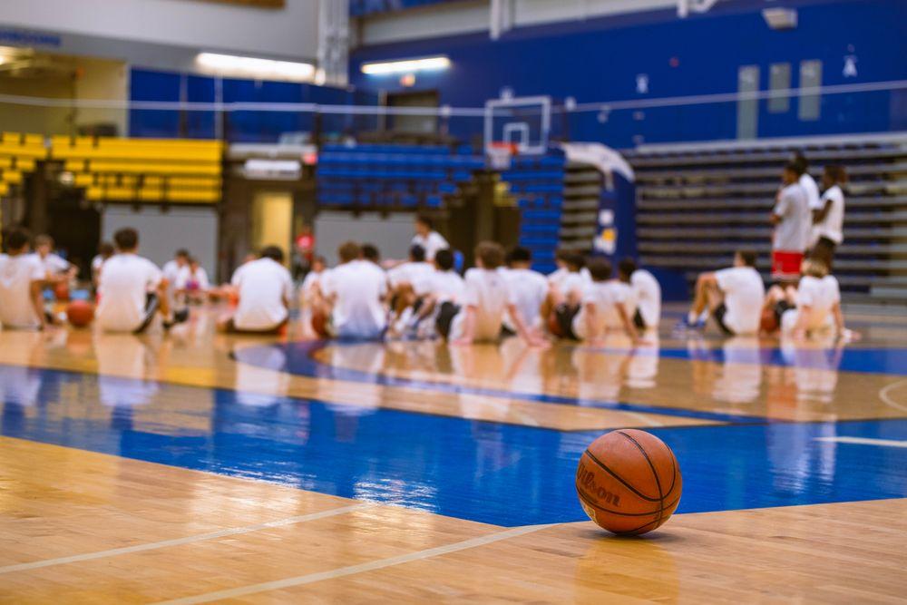 Montrose Vikings Basketball Club image
