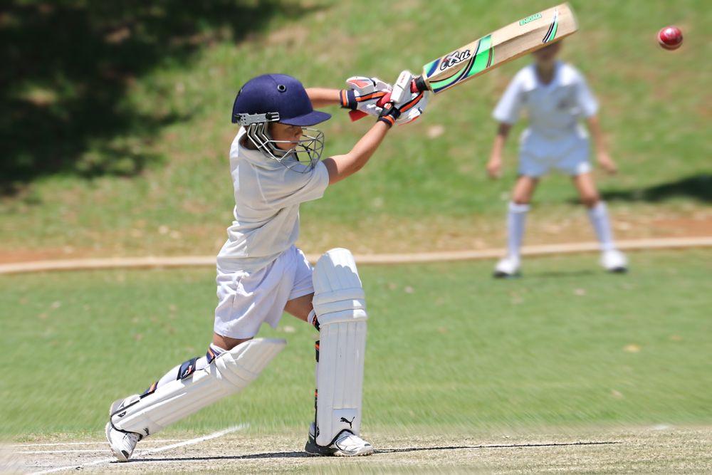 Forest District Cricket Club image