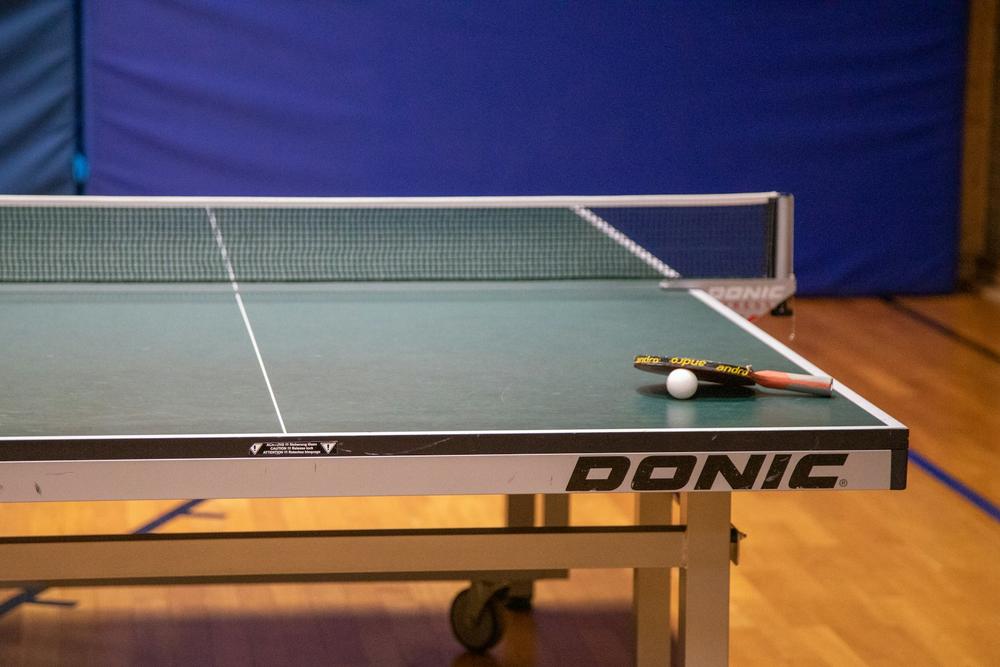 Table Tennis Academy in Box hill