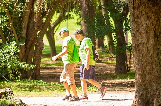 Two men chatting while walking together in a suburban park